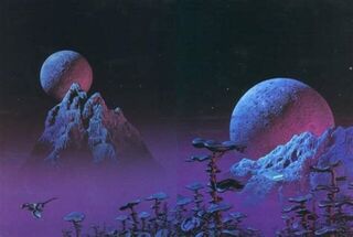 Tim White